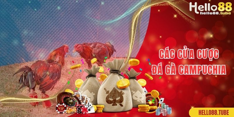 Các cửa cược phổ biến của đá gà Campuchia online