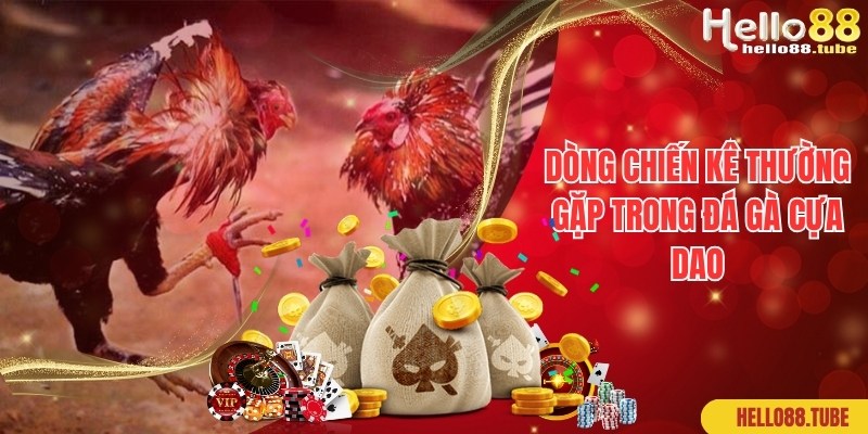 Dòng chiến kê được sử dụng phổ biến trong đá gà cựa dao