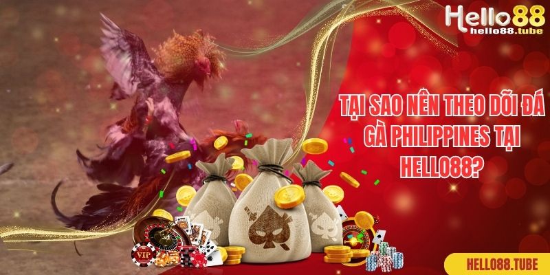 Tại sao nên theo dõi đá gà Philippines tại Hello88?