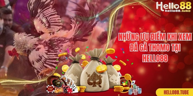 Những ưu điểm khi xem đá gà Thomo tại Hello88